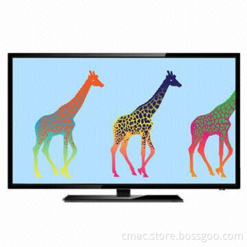 19-inch LED TV, super slim LED TV with analog/DVB-T/NTSC tuner (optional)